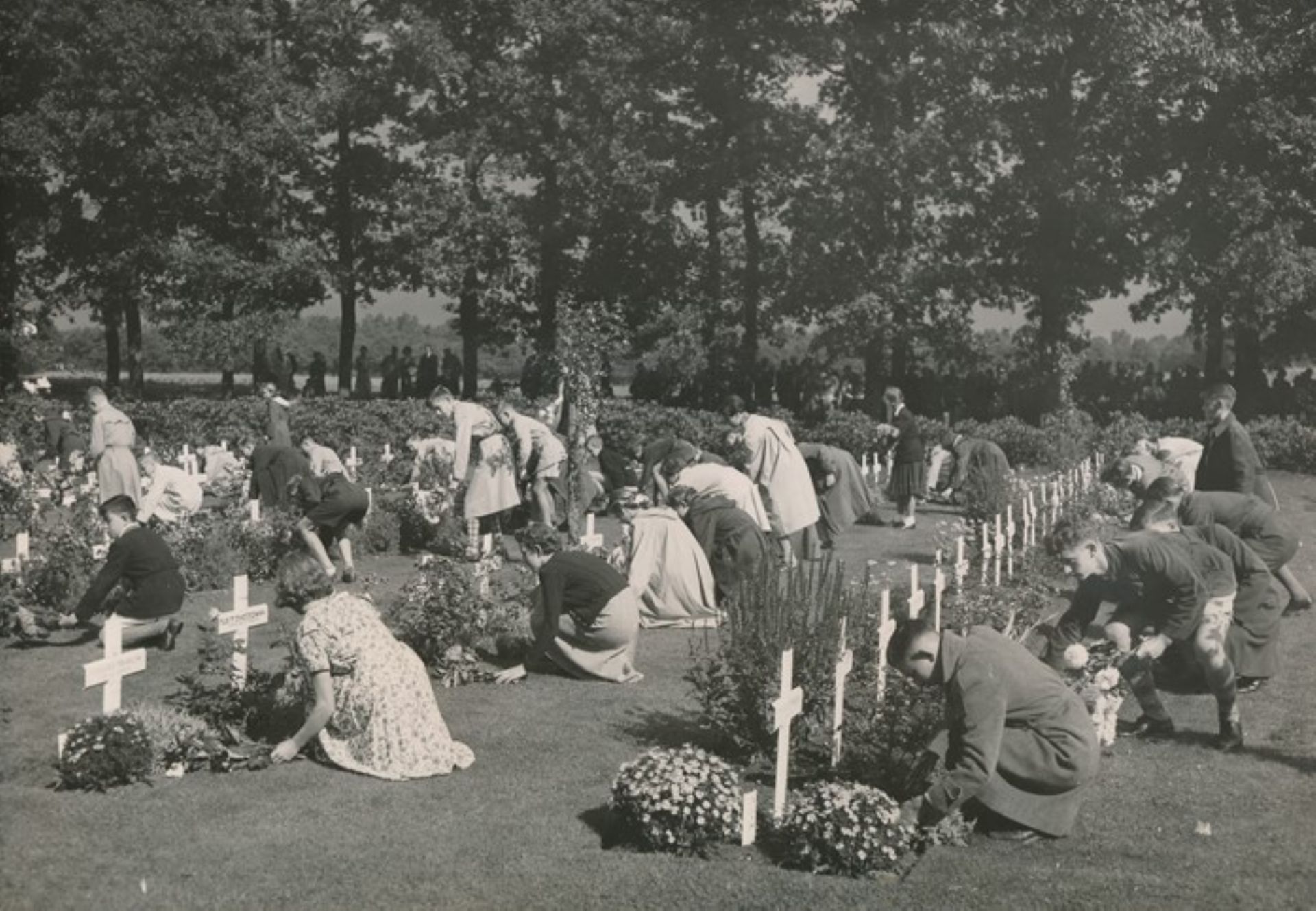 Foto uit 1951 waarop bloemkinderen staan die bloemen leggen bij de graven.