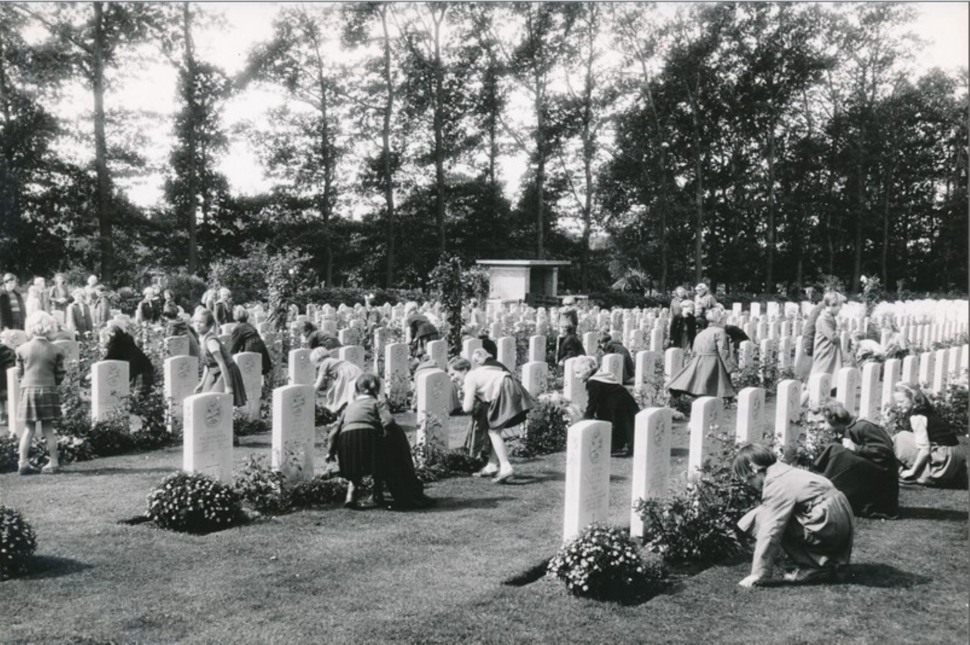 Foto uit 1955 waarop bloemkinderen staan die bloemen leggen bij de graven.