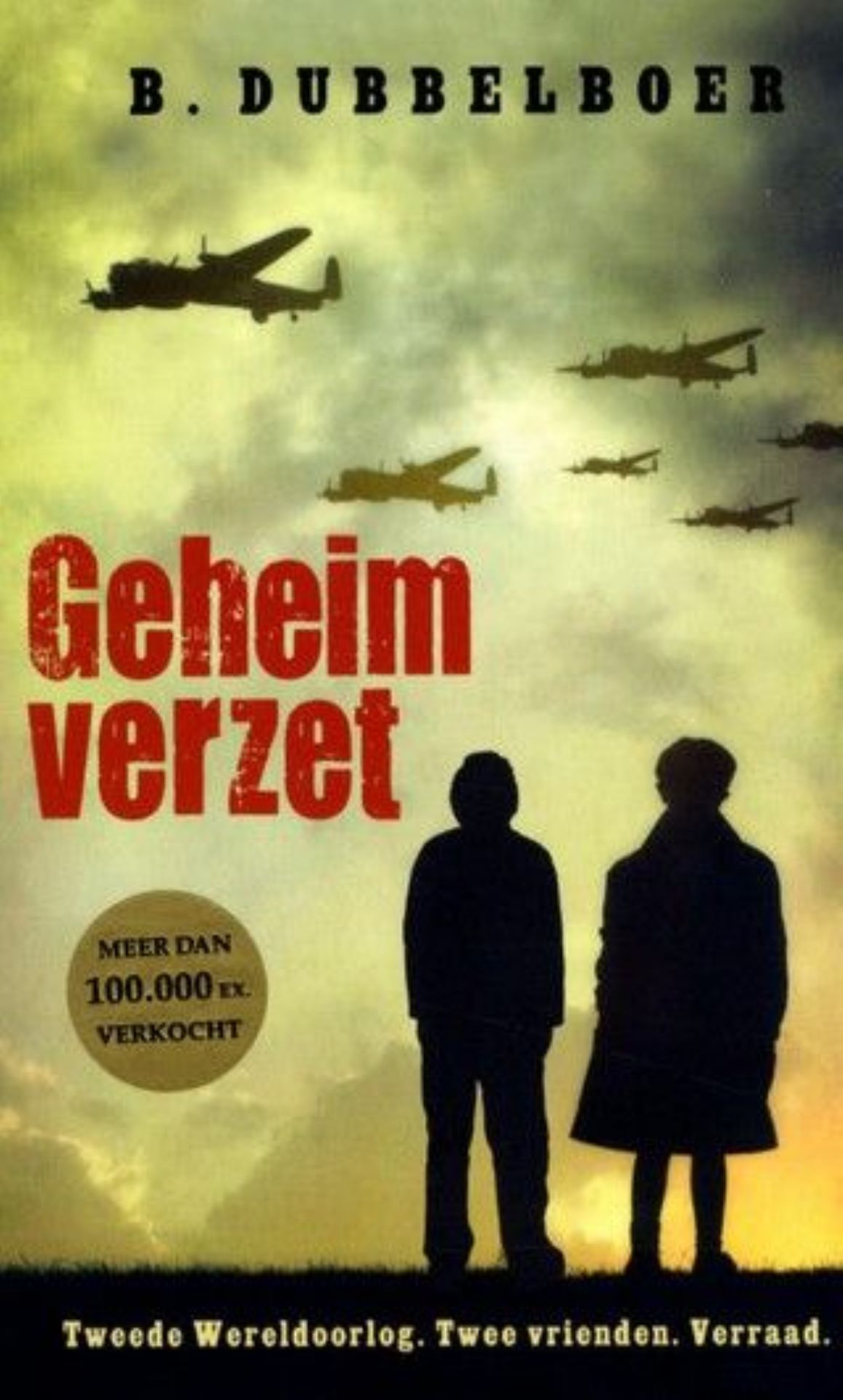 Boek Geheim verzet van Beene Dubbelboer.